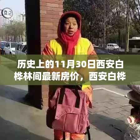 探寻西安白桦林间房价历史与心灵之旅,最新房价揭秘!
