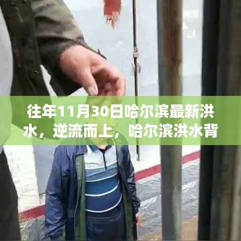 哈尔滨洪水背后的力量与智慧,逆流而上,展现变化中的自信与希望