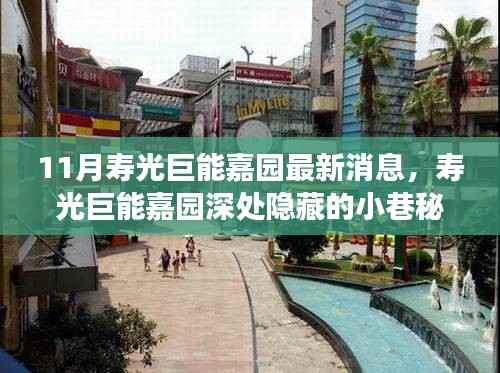 寿光巨能嘉园小巷秘境,特色小店的新篇章揭秘