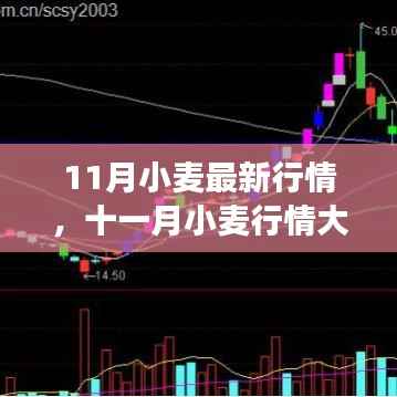 公司概况 第489页