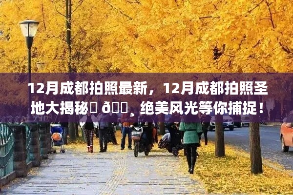 揭秘成都十二月拍照圣地,绝美风光等你来捕捉!