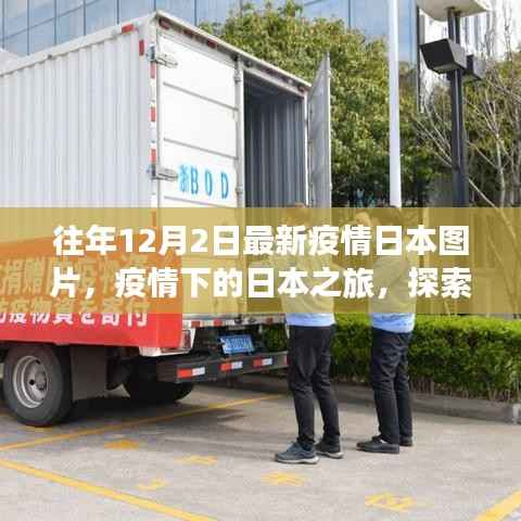 疫情下的日本之旅,自然美景与内心宁静的探索之旅