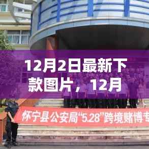 12月2日最新下款图片及产品评测报告详解