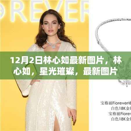 林心如最新图片回顾,星光璀璨的时代篇章,影响力与地位的彰显