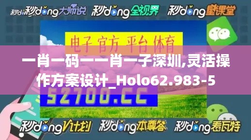 一肖一码一一肖一子深圳,灵活操作方案设计_Holo62.983-5