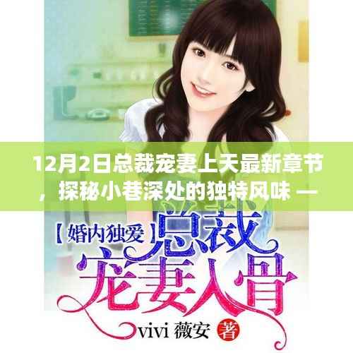 总裁宠妻上天最新章节下的隐秘美食之旅,小巷深处的独特风味