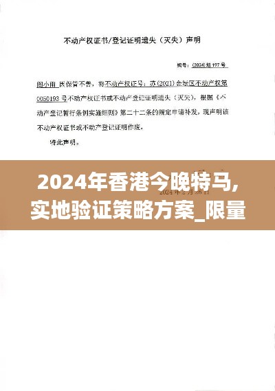 2024年香港今晚特马,实地验证策略方案_限量版24.197-6