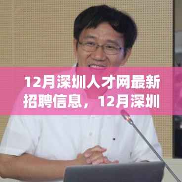 12月深圳人才网最新招聘信息,职场人的黄金机遇大揭秘