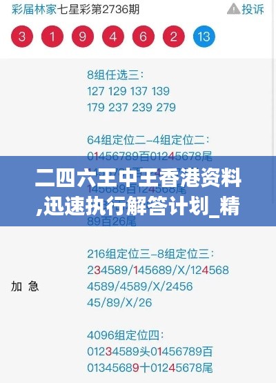 二四六王中王香港资料,迅速执行解答计划_精装款71.610