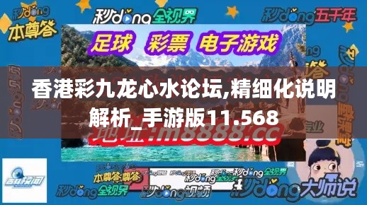 香港彩九龙心水论坛,精细化说明解析_手游版11.568