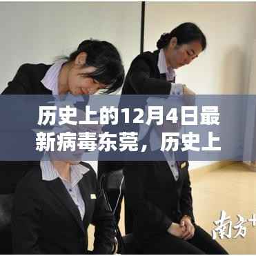 东莞地区揭秘,最新病毒防护策略与实操指南(历史上的十二月四日回顾)