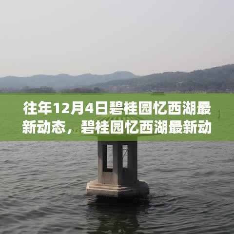 碧桂园忆西湖往年12月4日最新动态揭秘,精彩瞬间回顾