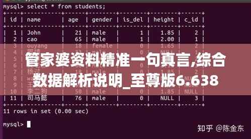 管家婆资料精准一句真言,综合数据解析说明_至尊版6.638