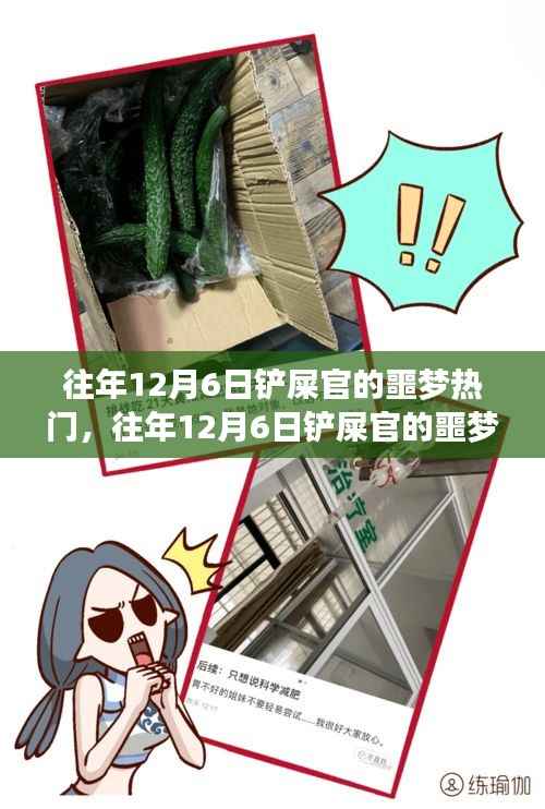 铲屎官们的噩梦,深度解析与观点阐述往年12月6日热门事件回顾