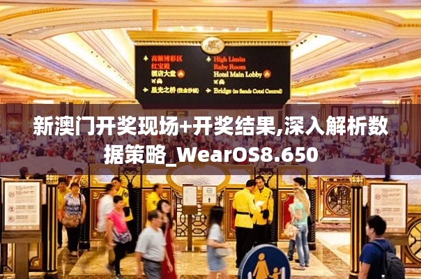 新澳门开奖现场+开奖结果,深入解析数据策略_WearOS8.650