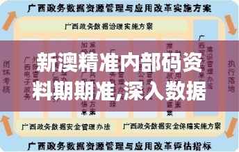 新澳精准内部码资料期期准,深入数据执行策略_CT8.621