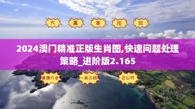 2024澳门精准正版生肖图,快速问题处理策略_进阶版2.165