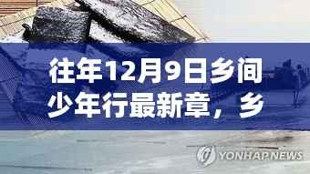 乡间少年行,回望十二月九日最新章节的深邃时光之旅