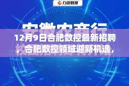12月9日合肥数控最新招聘,合肥数控领域迎新机遇,12月9日招聘活动深度剖析