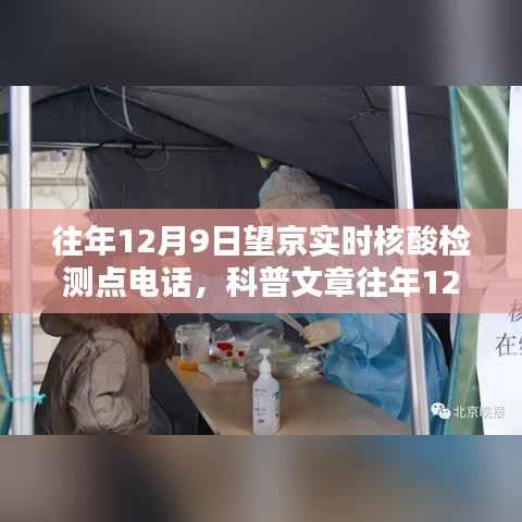 不飞则已 第4页