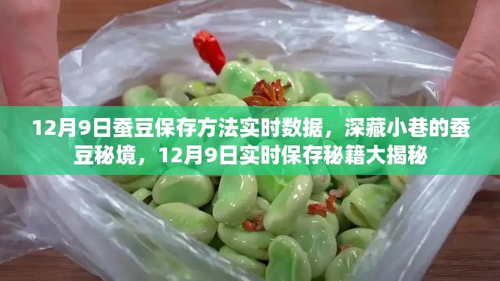 12月9日蚕豆保存秘籍,探寻深藏小巷的实时保存秘籍大揭秘!