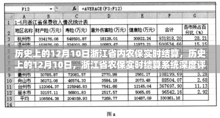 浙江省农保实时结算系统深度评测,历史上的12月10日结算纪实与评估