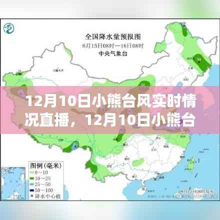 小熊台风最新动态,直播报道深度分析台风实时情况(直播时间,12月10日)