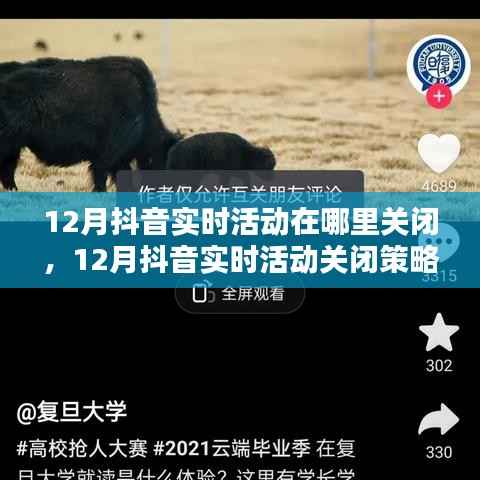 12月抖音实时活动关闭指南,策略与取舍