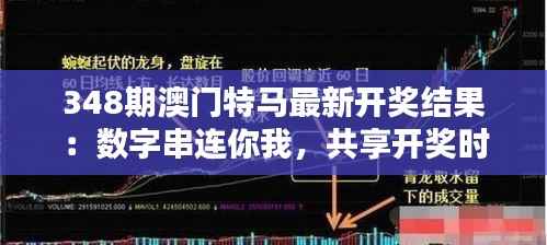 348期澳门特马最新开奖结果:数字串连你我,共享开奖时刻的紧张与兴奋