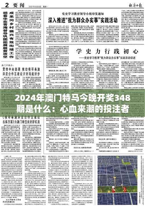 2024年澳门特马今晚开奖348期是什么:心血来潮的投注者盛宴