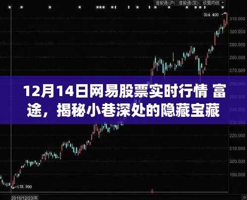 网易股票行情与小巷宝藏,富途揭示特色小店的非凡故事与股市碰撞的奇妙缘分