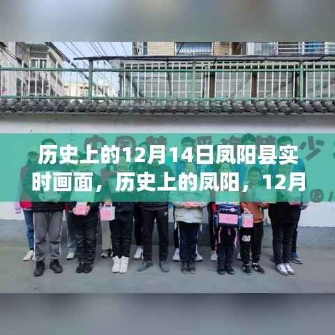 历史上的凤阳,12月14日阳光下的启示与成长之路