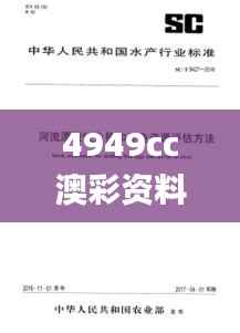 4949cc澳彩资料大全正版,安全策略评估方案_2D1.215