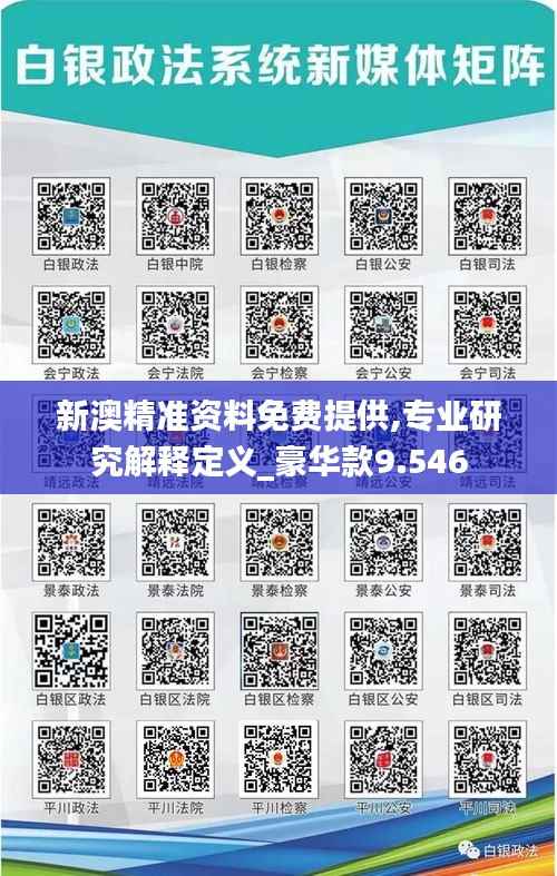 新澳精准资料免费提供,专业研究解释定义_豪华款9.546