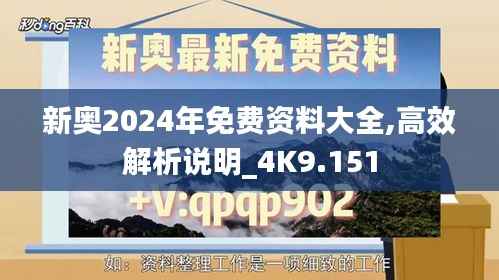 新奥2024年免费资料大全,高效解析说明_4K9.151