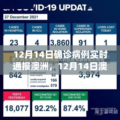 澳洲疫情最新进展,实时通报确诊病例与深度分析(12月14日更新)