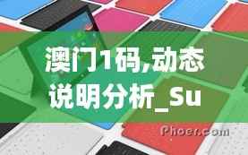 澳门1码,动态说明分析_Surface4.677