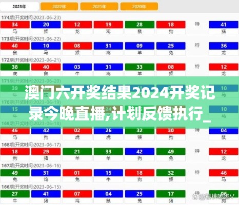 澳门六开奖结果2024开奖记录今晚直播,计划反馈执行_X1.560
