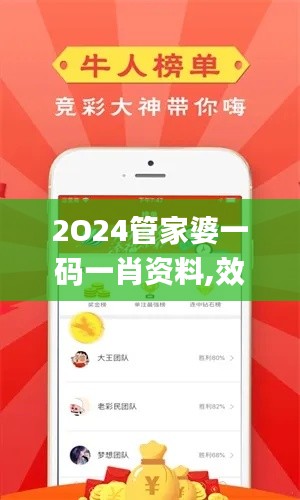 2O24管家婆一码一肖资料,效率解答解释落实_2DM7.901