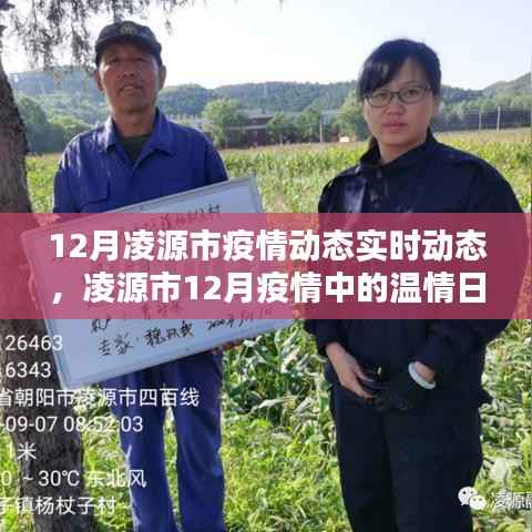 管窥蛙见 第3页