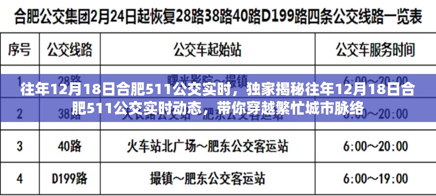 独家揭秘,合肥公交511线路往年12月18日实时动态回顾,穿越城市脉络的繁忙轨迹