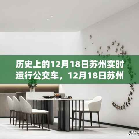 苏州公交之旅，追寻自然美景与内心宁静的公交之旅（12月18日实时运行）
