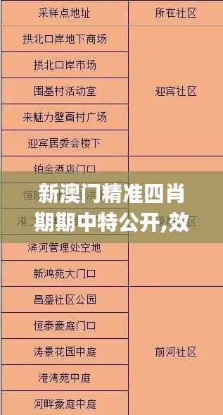 新澳门精准四肖期期中特公开,效率资料解释落实_CT3.300