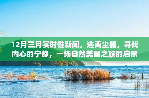 自然美景之旅启示录,逃离尘嚣,聚焦实时新闻下的心灵宁静