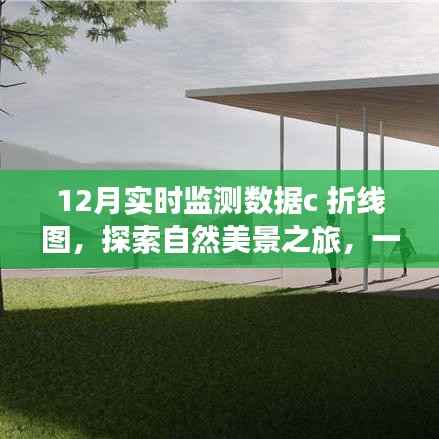 12月实时监测数据折线图,自然美景探索之旅的奇妙导览