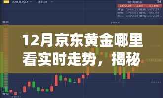 揭秘黄金市场走势,京东黄金实时行情分析与洞悉策略