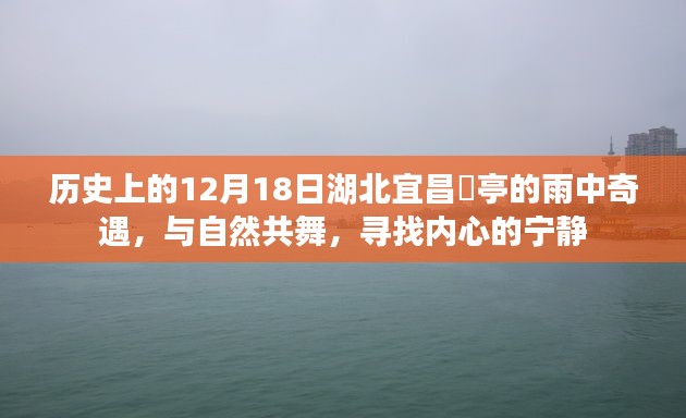 湖北宜昌猇亭雨中奇遇,与自然共舞,探寻内心宁静的历程