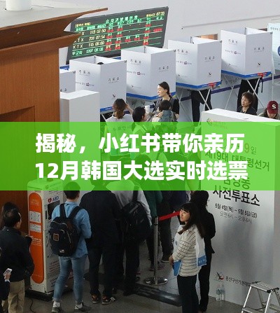 小红书带你亲历韩国大选实时选票系统揭秘