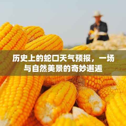 风流倜傥 第4页