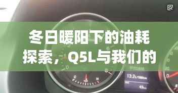冬日暖阳下的油耗探索,Q5L日常趣事分享